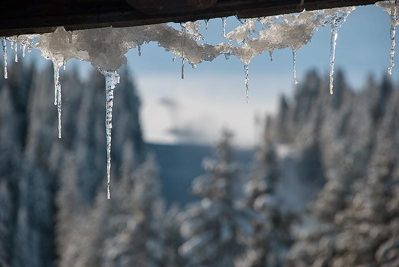 Apartment Suncani Vrhovi Kopaonik Eksteriør billede